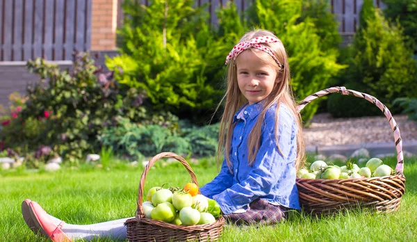 Adorabile bambina con raccolto autunnale di pomodoro sul prato — Foto Stock