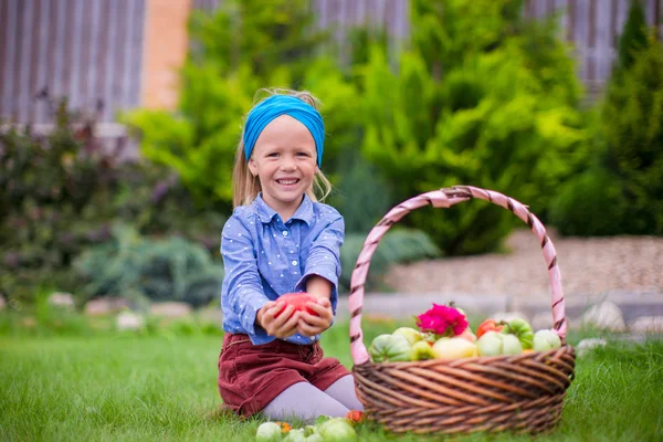 Menina feliz com colheita de outono de tomate em cesta — Fotografia de Stock