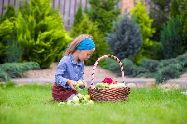 Linda niña con cosecha de otoño de tomate en cesta —  Fotos de Stock