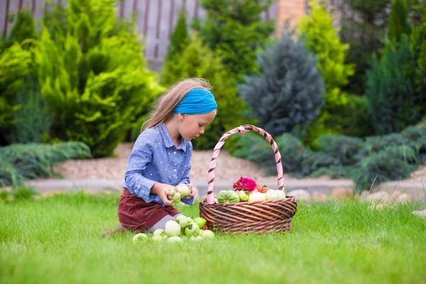 Petite fille mignonne avec récolte d'automne de tomate dans le panier — Photo