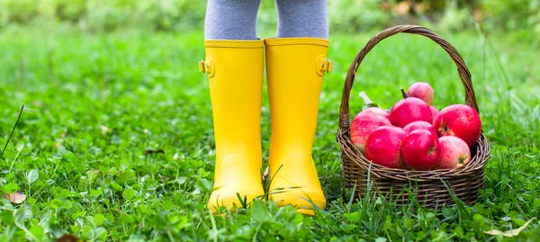 Nahaufnahme von Korb mit roten Äpfeln und Gummistiefeln auf kleines Mädchen — Stockfoto
