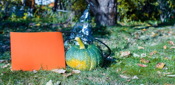 Vista de las calabazas de Halloween, sombrero de brujas y rastrillo al aire libre — Foto de Stock