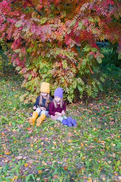 Dos chicas adorables en el bosque en el cálido día soleado de otoño —  Fotos de Stock