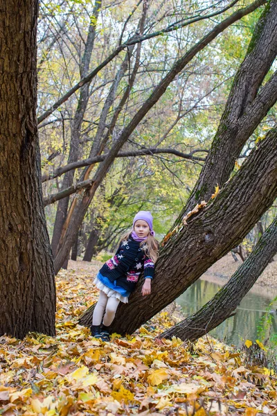 小女孩，在秋天公园落天户外活动 — 图库照片