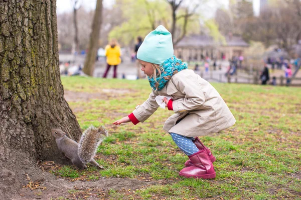 Una niña alimenta a una ardilla en Central Park, Nueva York, Estados Unidos —  Fotos de Stock