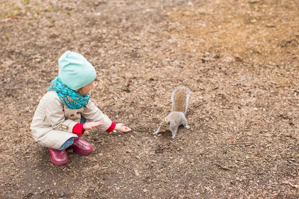 Una niña alimenta a una ardilla en Central Park, Nueva York, Estados Unidos —  Fotos de Stock