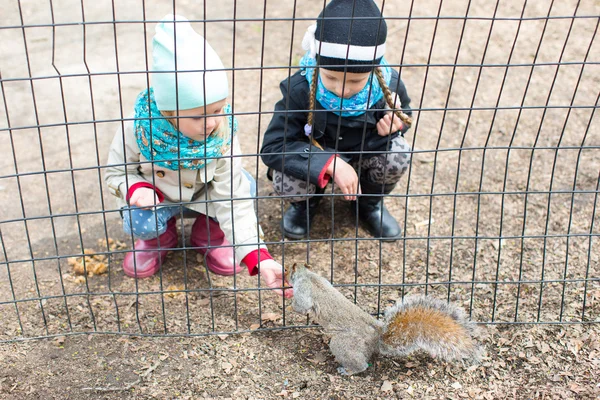 Little girls feeds a squirrel in Central park, New York, America — Stock Photo, Image