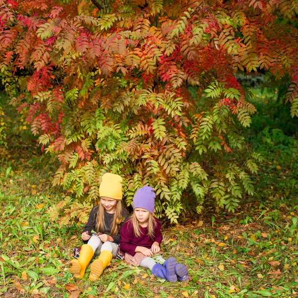 Duas meninas adoráveis ao ar livre na floresta de outono — Fotografia de Stock