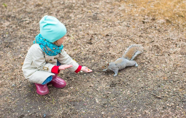 Una niña alimenta a una ardilla en Central Park, Nueva York, Estados Unidos —  Fotos de Stock