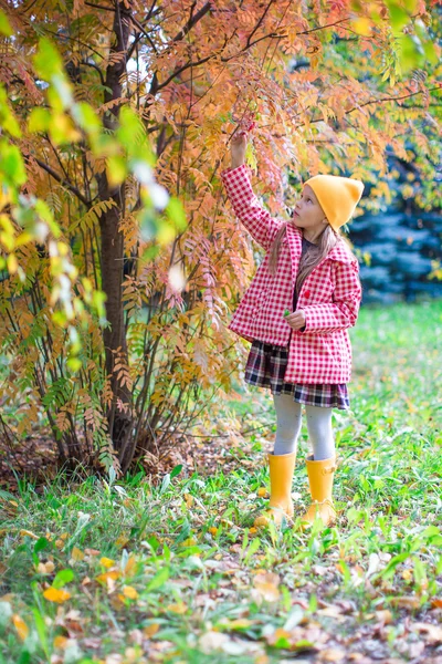Adorable niña en hermoso día de otoño al aire libre —  Fotos de Stock