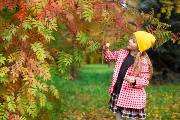 Adorable little girl at beautiful autumn day outdoors — Stock Photo, Image