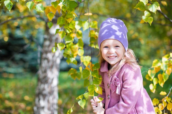 Adorable niña en hermoso día de otoño al aire libre — Foto de Stock