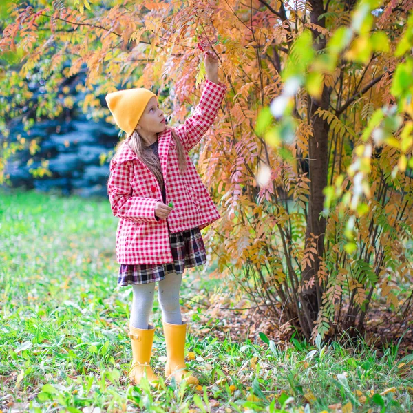 Adorable petite fille à la belle journée d'automne en plein air — Photo