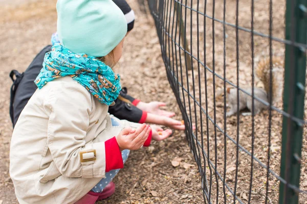 Little girls feeds a squirrel in Central park, New York, America — Stock Photo, Image