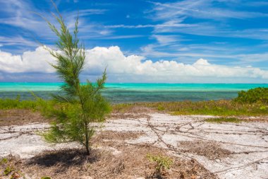 Karayip tropik adada manzara