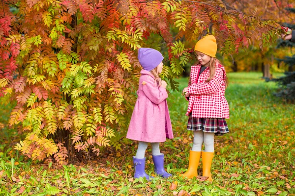 Adorable little girls at beautiful autumn day outdoors — Stock Photo, Image