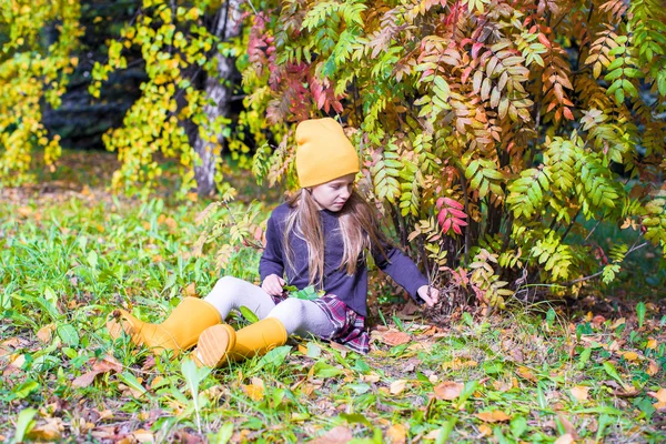 Adorable little girl at beautiful autumn day outdoors — Stock Photo, Image