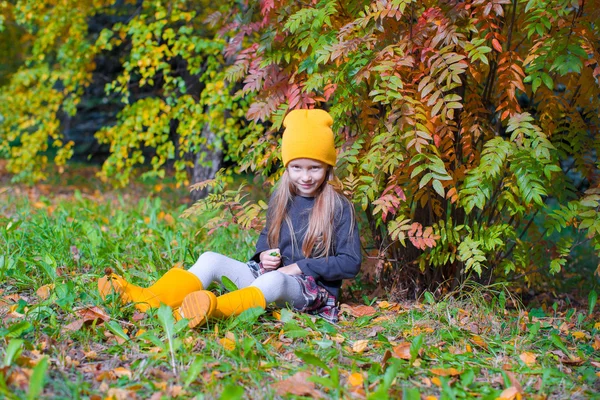 Adorable little girl at beautiful autumn day outdoors — Stock Photo, Image