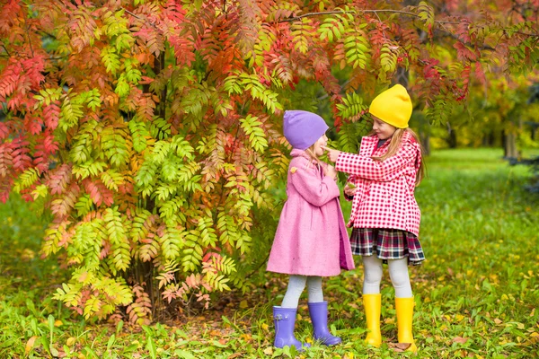 Two adorable girls in forest at warm sunny autumn day — Stock Photo, Image