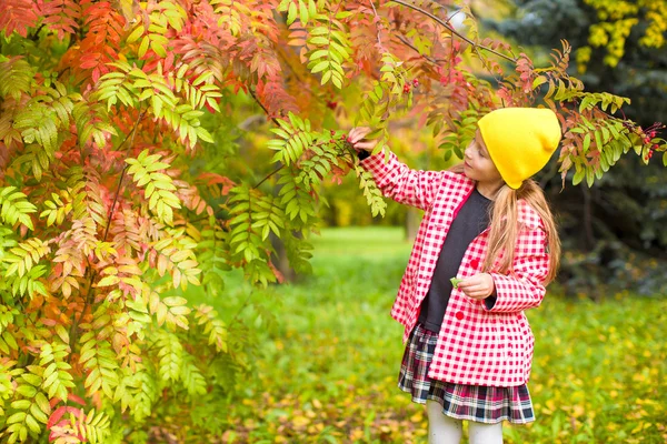 Adorable little girl at beautiful autumn day outdoors — Stock Photo, Image