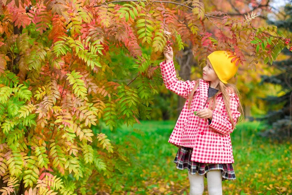 Adorable little girl at beautiful autumn day outdoors — Stock Photo, Image