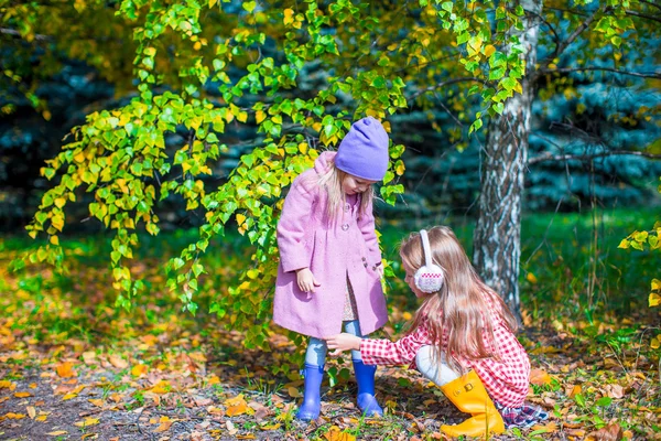 Dvě roztomilé dívky v lese na teplé slunečné podzimní den — Stock fotografie