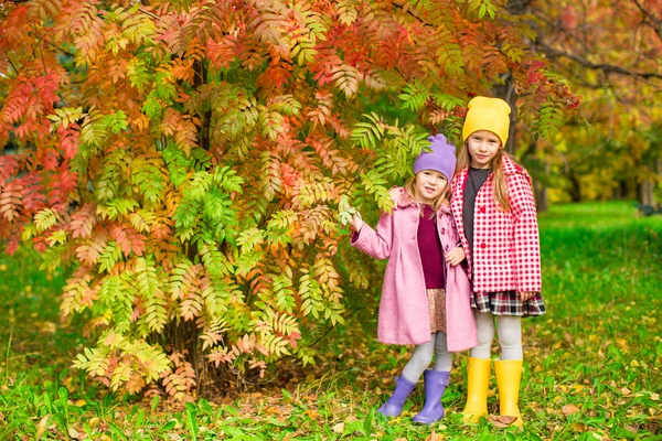 Adorable little girls at beautiful autumn day outdoors — Stock Photo, Image