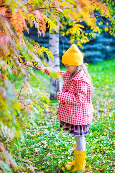 愛らしい女の子で美しい秋の日屋外 — ストック写真