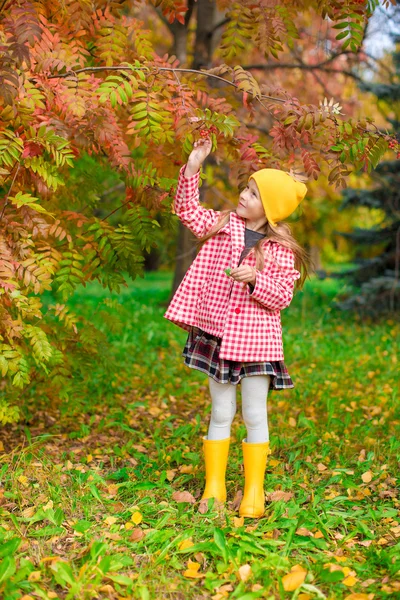 Adorable little girl at beautiful autumn day outdoors — Stock Photo, Image