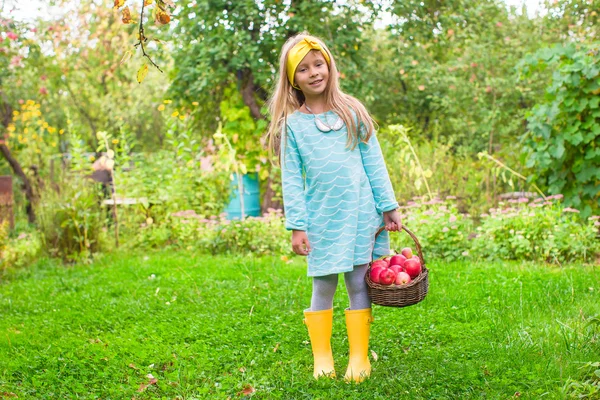 Little girl with basket of apples in sunny autumn day — Stock Photo, Image