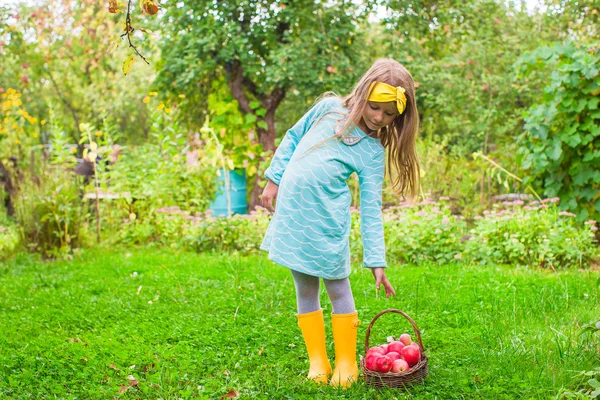 Niña con cesta de manzanas en el soleado día de otoño —  Fotos de Stock