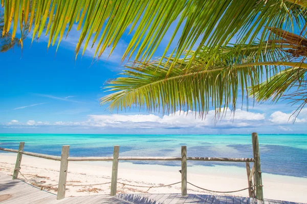 Tropical beach with palms and white sand on Caribbean — Stock Photo, Image