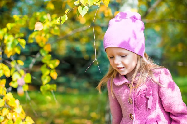 Liebenswertes kleines Mädchen an einem schönen Herbsttag im Freien — Stockfoto