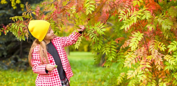 Adorable niña en hermoso día de otoño al aire libre —  Fotos de Stock