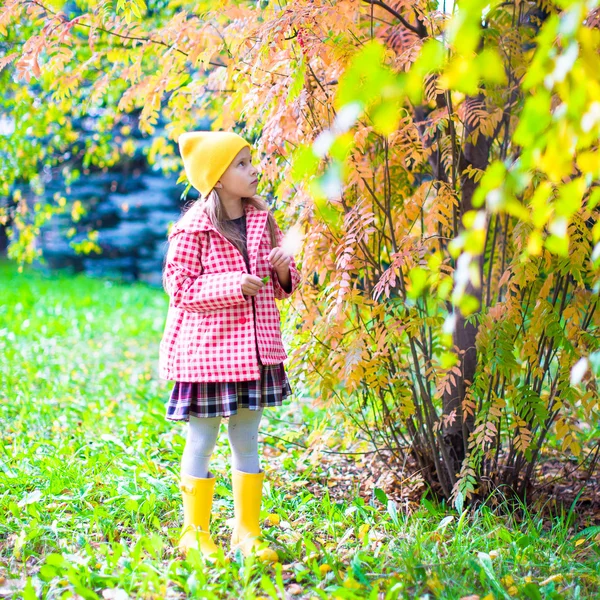 Adorable little girl at beautiful autumn day outdoors — Stock Photo, Image