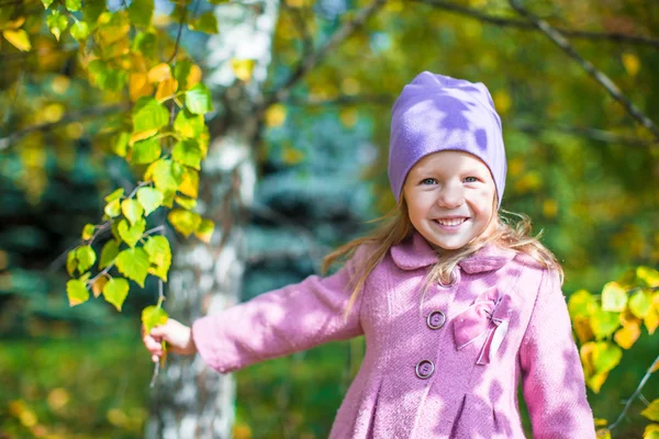 Adorable petite fille à la belle journée d'automne en plein air — Photo