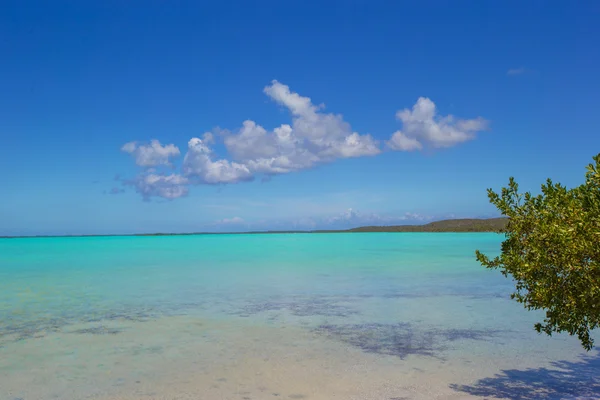 Perfect white beach with turquoise water at ideal island — Stock Photo, Image