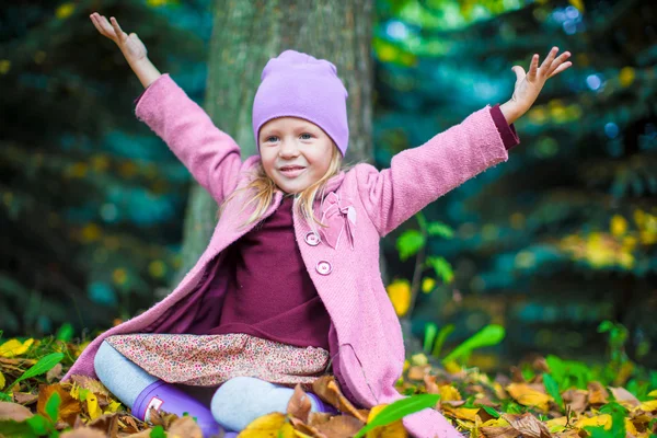 Petite adorable fille dans le parc d'automne le jour d'automne ensoleillé — Photo