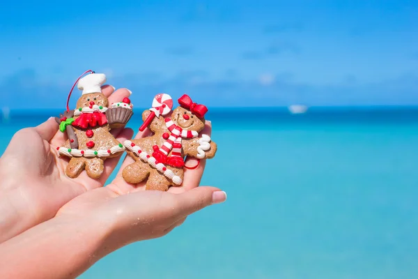 Biscoitos de gengibre de Natal nas mãos contra o mar azul-turquesa — Fotografia de Stock