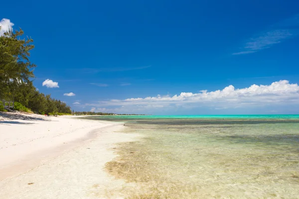 Perfektní bílá pláž s tyrkysovou vodou na ideálním ostrově — Stock fotografie