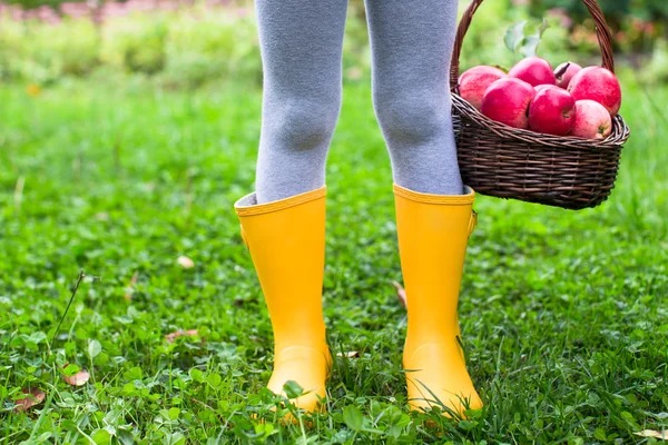 Fechar a cesta com maçãs vermelhas e botas de borracha na menina — Fotografia de Stock