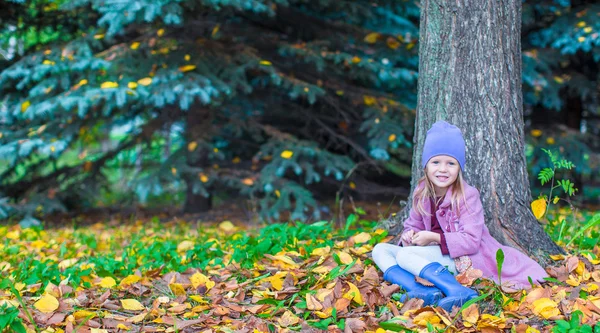 Little adorable girl in autumn park on sunny fall day — Stock Photo, Image