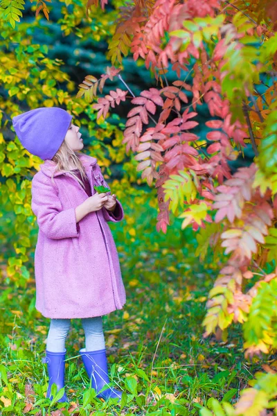 Söt liten flicka på vacker höstdag utomhus — Stockfoto