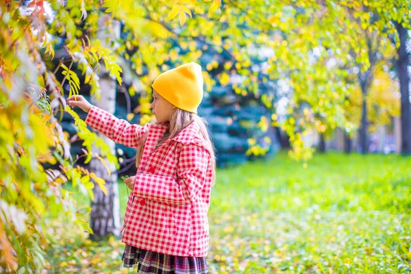 Söt liten flicka på vacker höstdag utomhus — Stockfoto