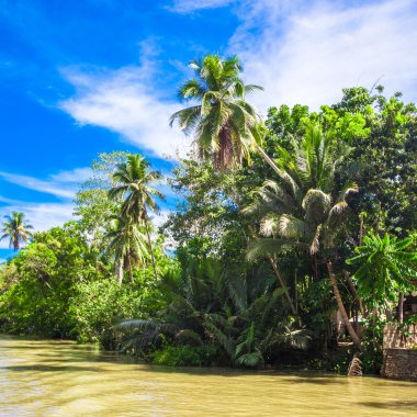 tropikal loboc river, mavi gökyüzü, bohol Adası, Filipinler