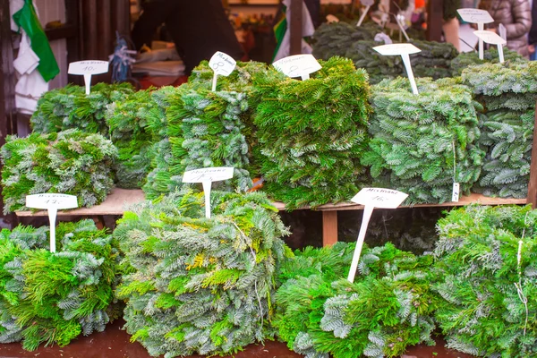 Arbres de conifères en vente à l'extérieur — Photo