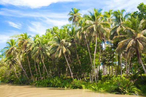 Loboc tropical, ciel bleu, île de Bohol, Philippines — Photo