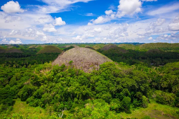 Verde jugoso y colorido Chocolate Hills en Bohol, Filipinas — Foto de Stock