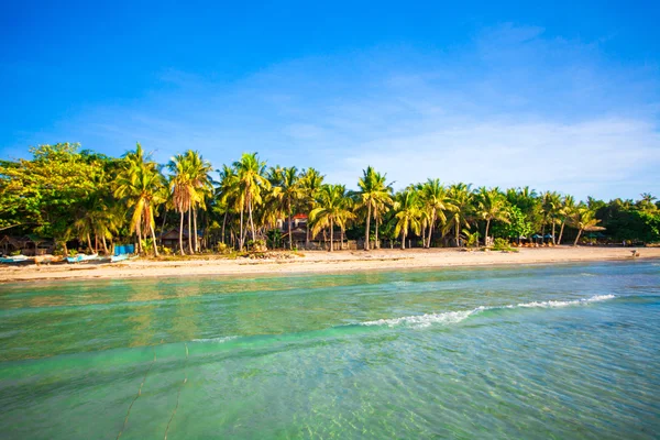 Идеальный белый пляж с бирюзовой водой и большими пальмами на пляже — стоковое фото