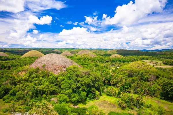 Green juicy and colorful Chocolate Hills in Bohol, Philippines — Stock Photo, Image